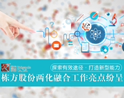 探索有效途徑，打造新型能力——棟方股份兩化融合工作亮點紛呈