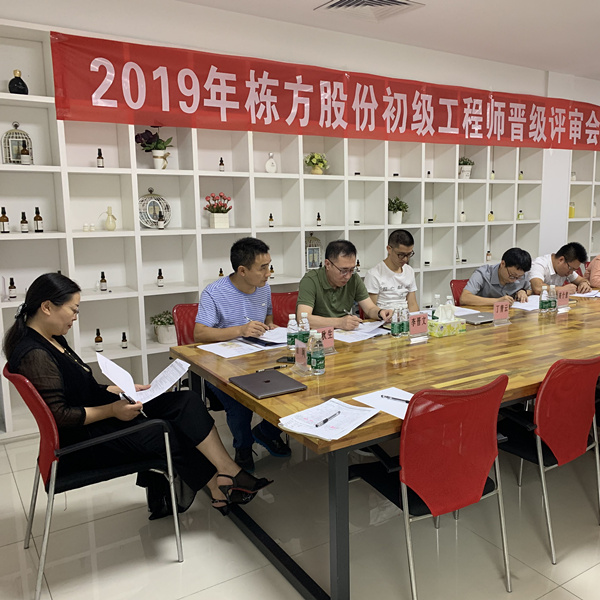 匠心筑夢，人才培養(yǎng)丨棟方股份2019初級工程師晉級評審會順利舉行